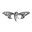 CICADA® CEYLON ┃OWN THE JOURNEY. logo